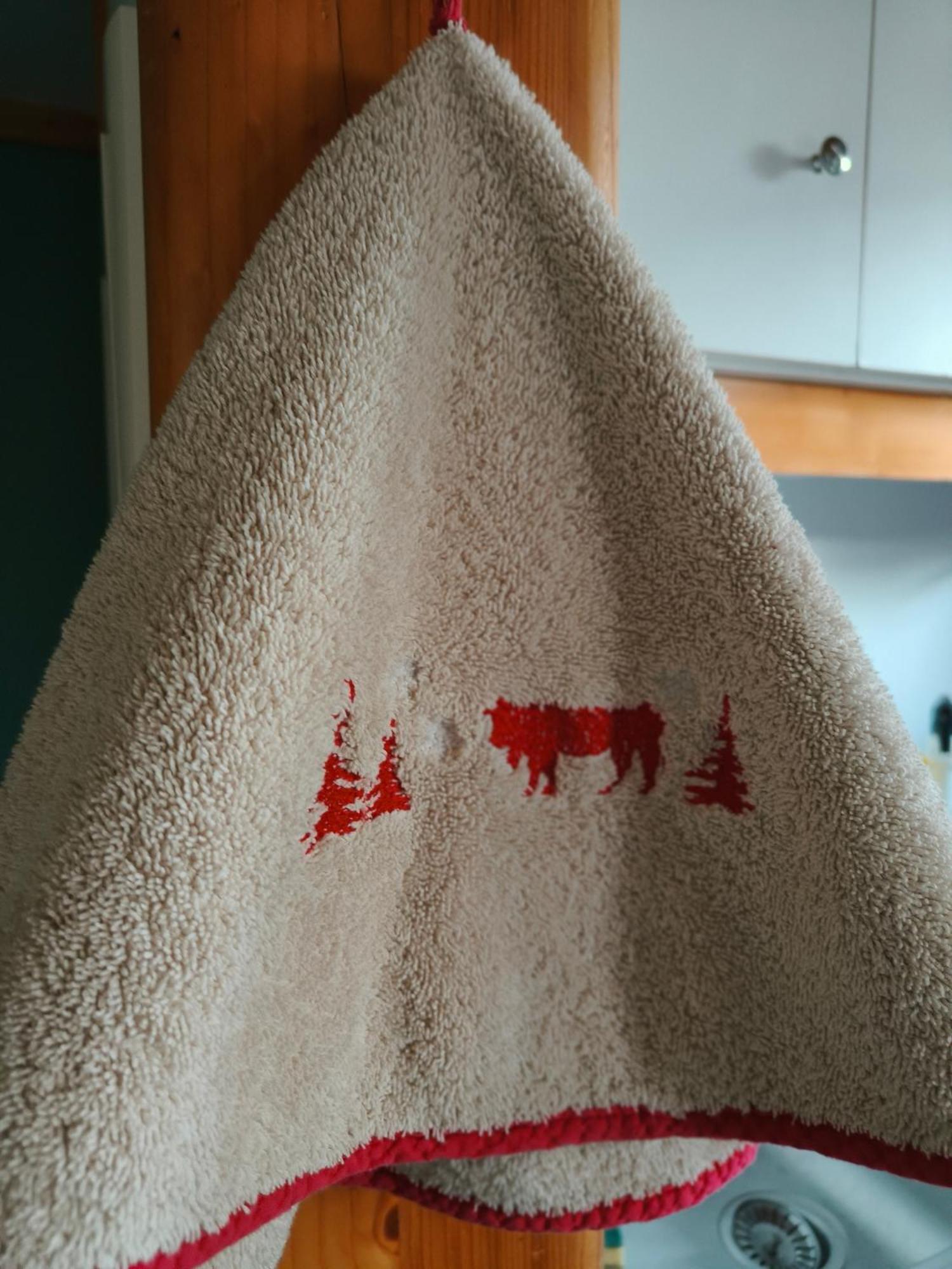 Chalets De La Colagne Bourgs sur Colagne Экстерьер фото